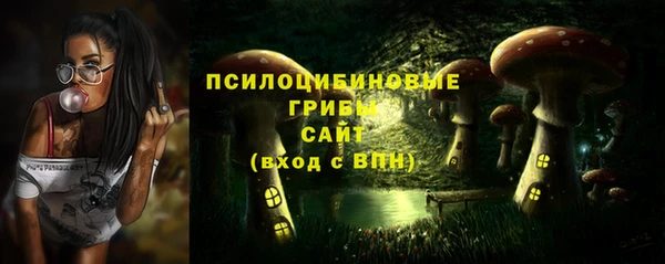 прущие грибы Аркадак