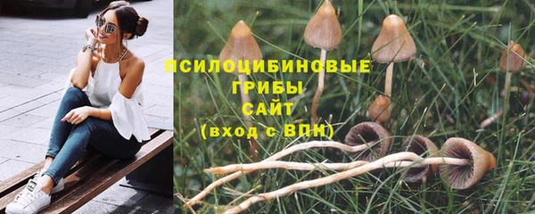 меф Арсеньев