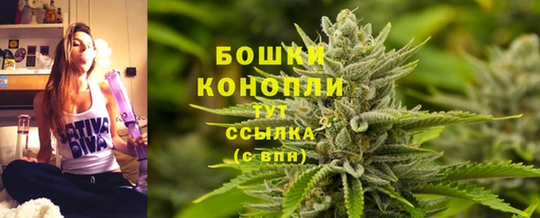 прущие грибы Аркадак