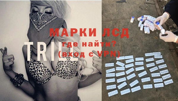 прущие грибы Аркадак