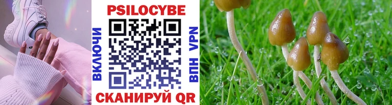 Псилоцибиновые грибы Psilocybine cubensis  цены   Коряжма 