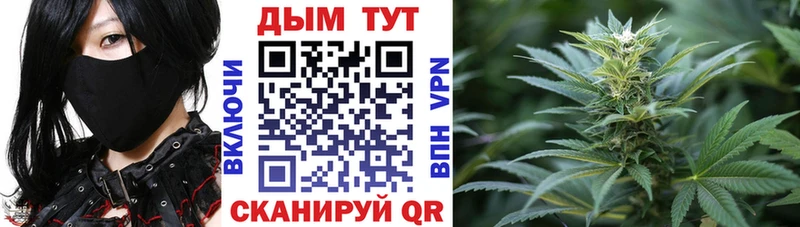 закладка  Коряжма  Марихуана White Widow 